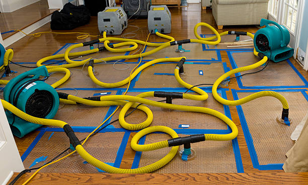 Professional Structural Drying And Dehumidification technician working in Gordon, PA